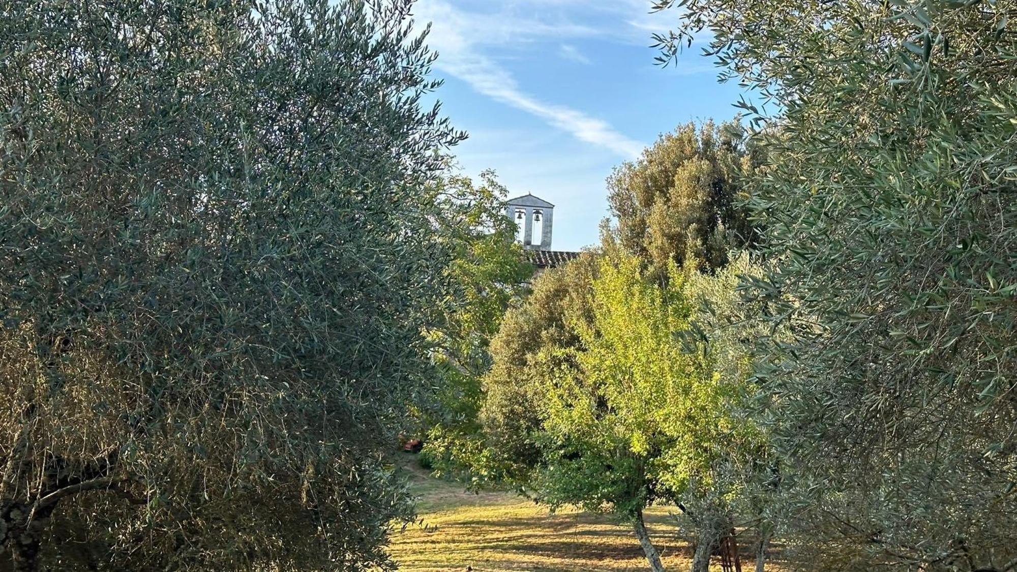 Borgo San Michele Incisa Tuscany 인사이사인발드아노 외부 사진